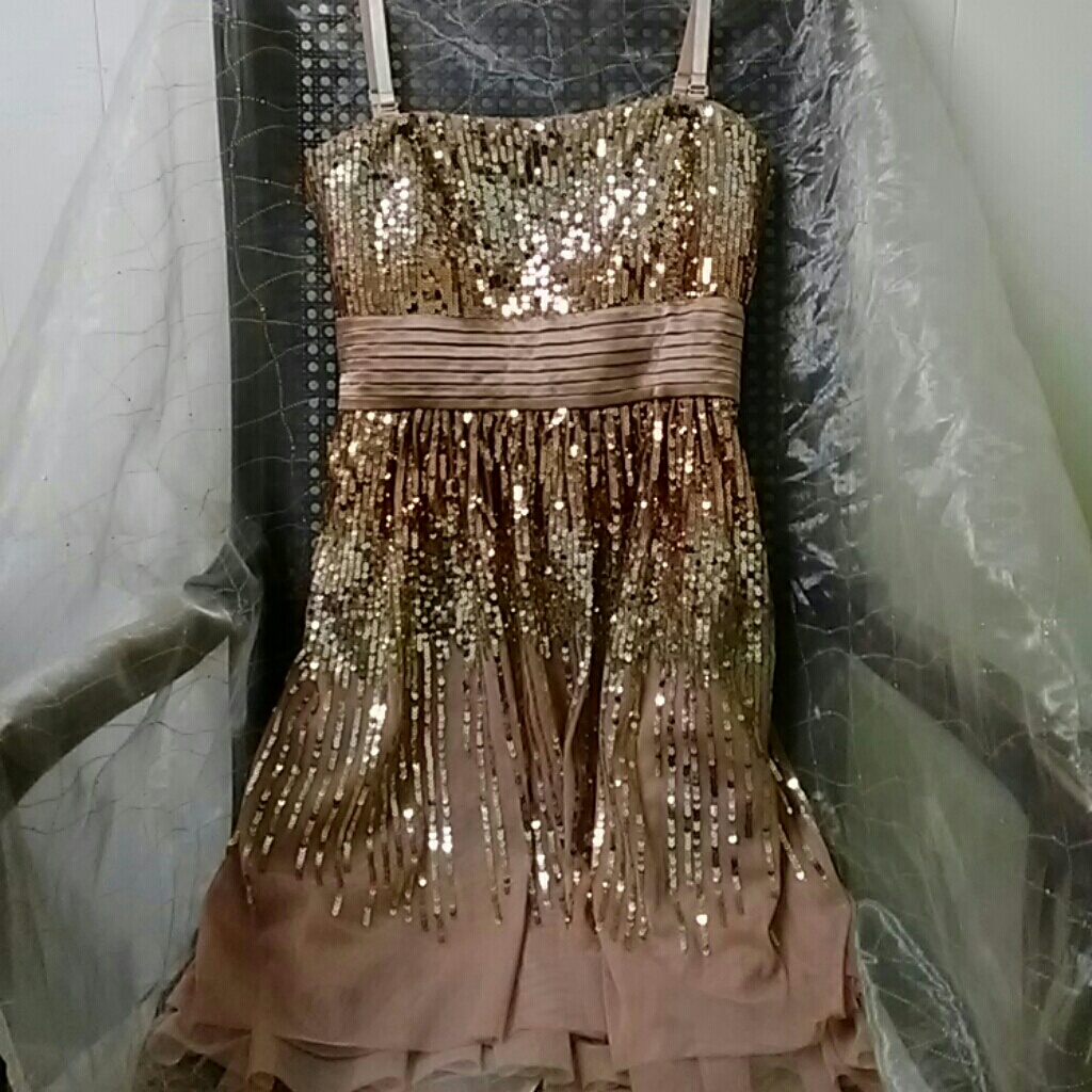 Bcbgmaxazria Sequinned Champagne Gold Metallic Party Dress, Size 4